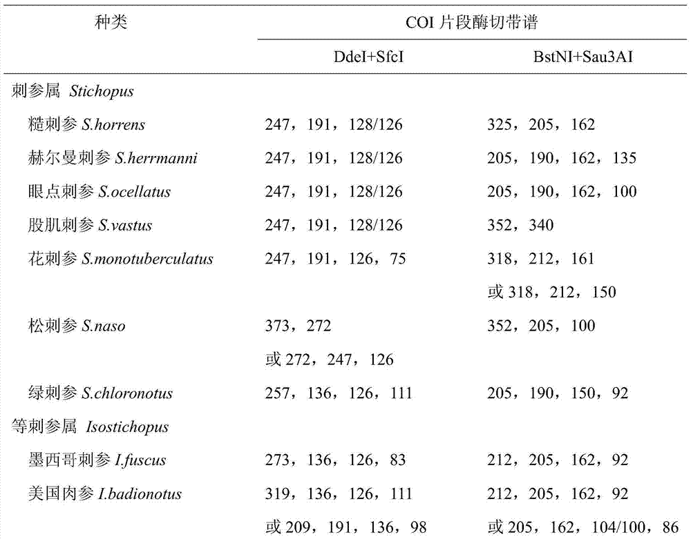 COI gene based PCR-RFLP discrimination method of seventeen economic sea cucumbers of Stichopodidae