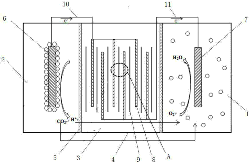 Multiple-effect photosynthetic microorganism fuel battery and implementation method thereof