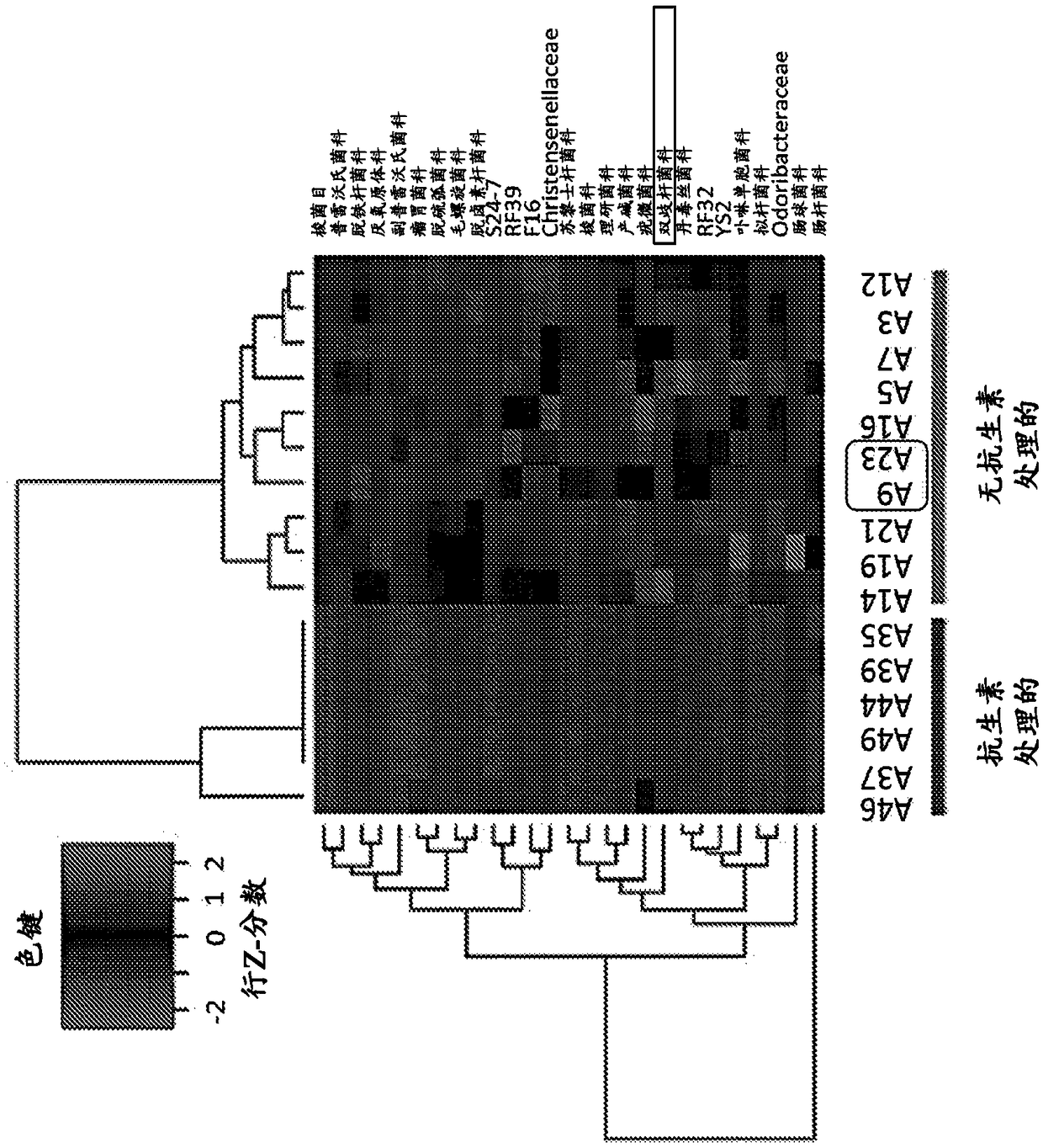 Anti-cancer oncolytic virus combination therapies and elite responder selection platforms