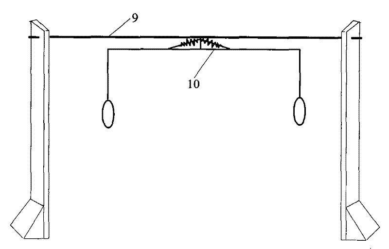 In-situ monitoring device and method of cement concrete structure forming process