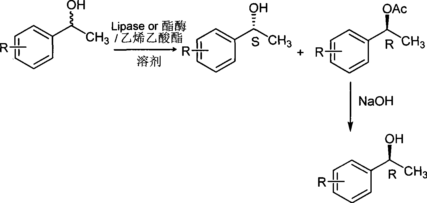 Enzymatic resolution method of dl 1-phenylethanol compounds