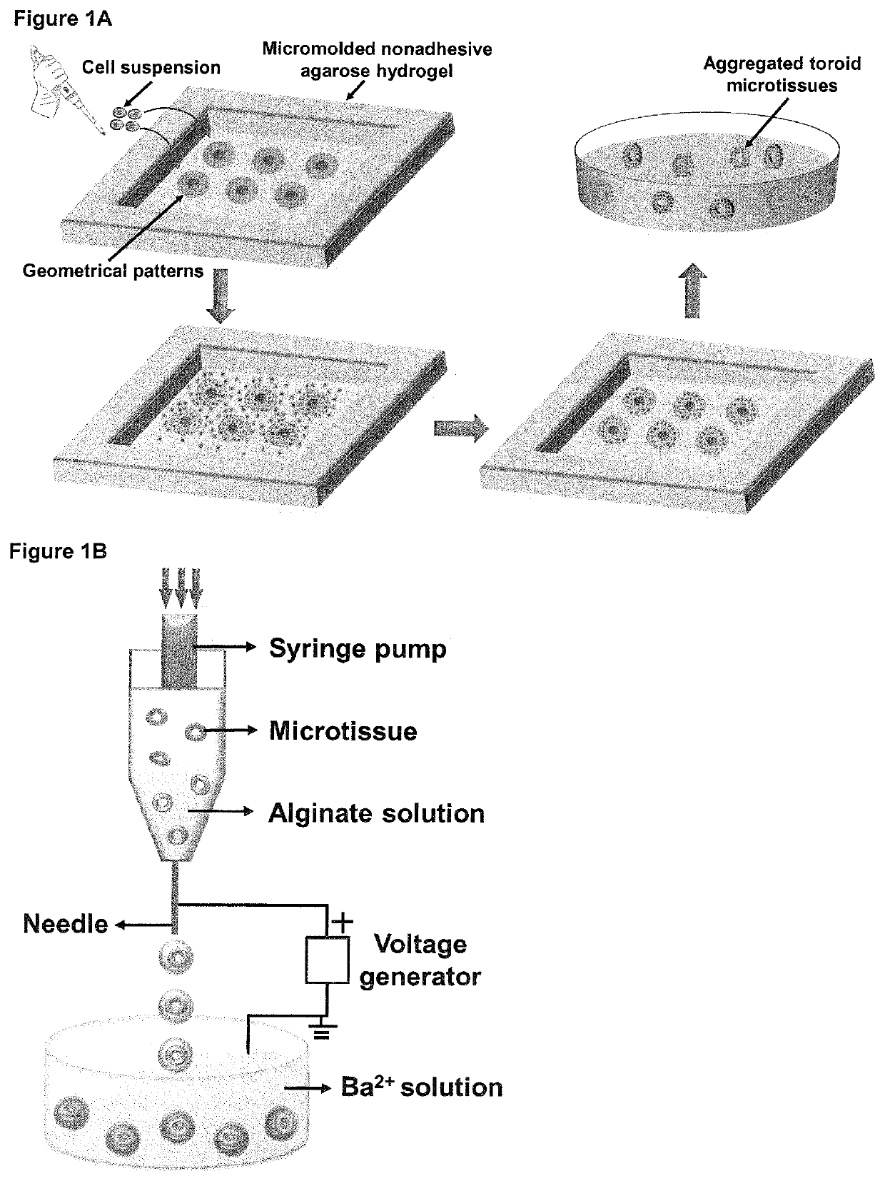 Therapeutic hydrogel device