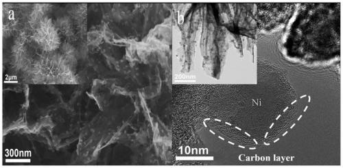 Metal oxide nano sheet supported carbon coated metal particle electrolysed water catalyst
