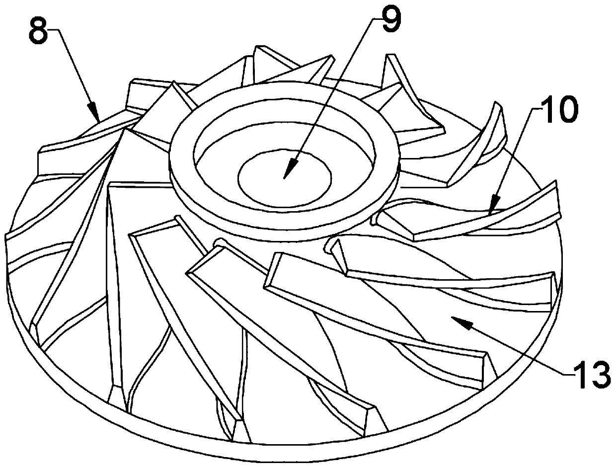 Drying equipment for grains and drying method thereof