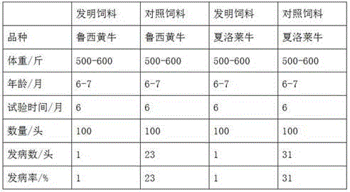 Compound cattle feed and preparation method thereof