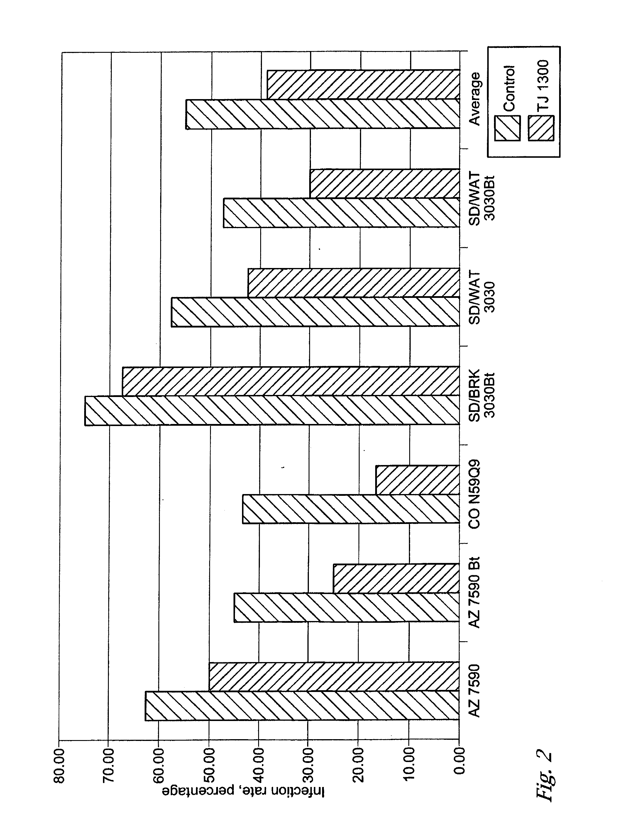 Plant seed assemblies comprising fungal/bacterial antagonists