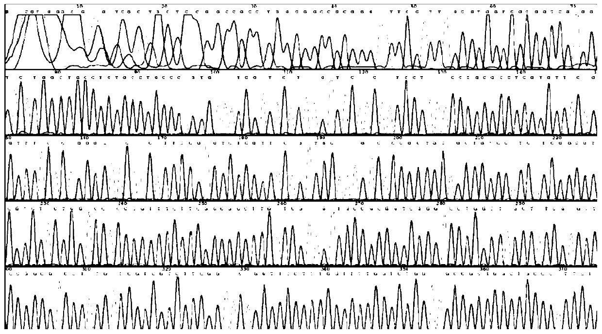 HLA sequencing peak graph identification method