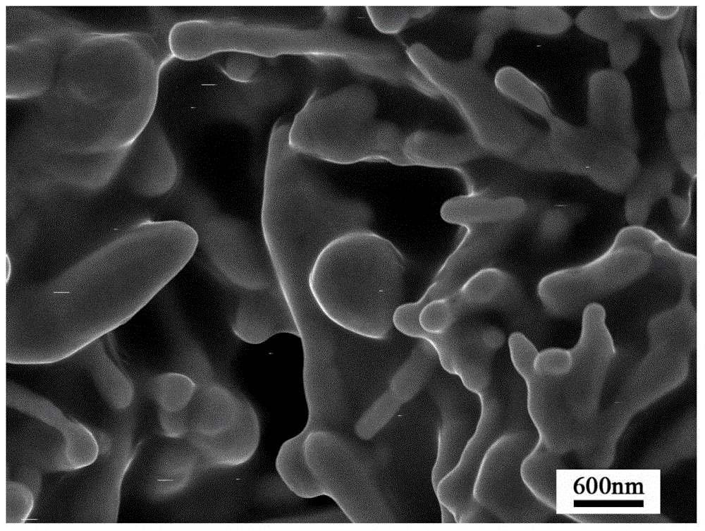 A kind of conductive paste and its preparation method and printed circuit material