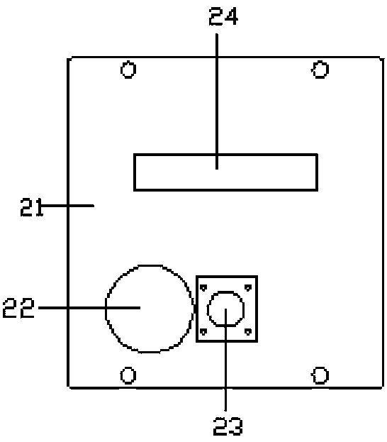 Pearl feeding and image capturing device for sorting pearl luster