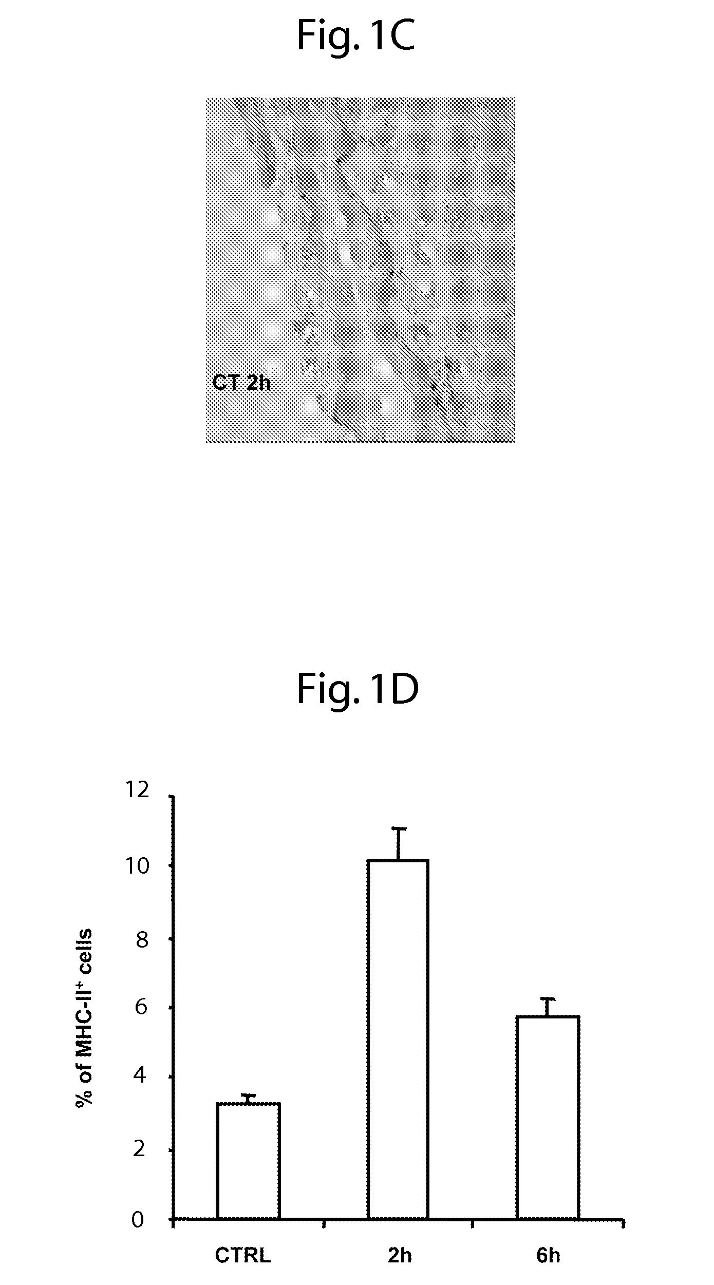 Method for inducing mucosal humoral and cell-mediated immune responses by sublingual administration of antigens