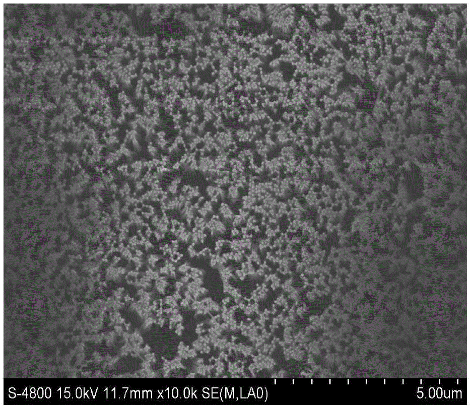 Preparing method for Sm-Co/Fe-Co series biphase coupling magnetic nanowire array