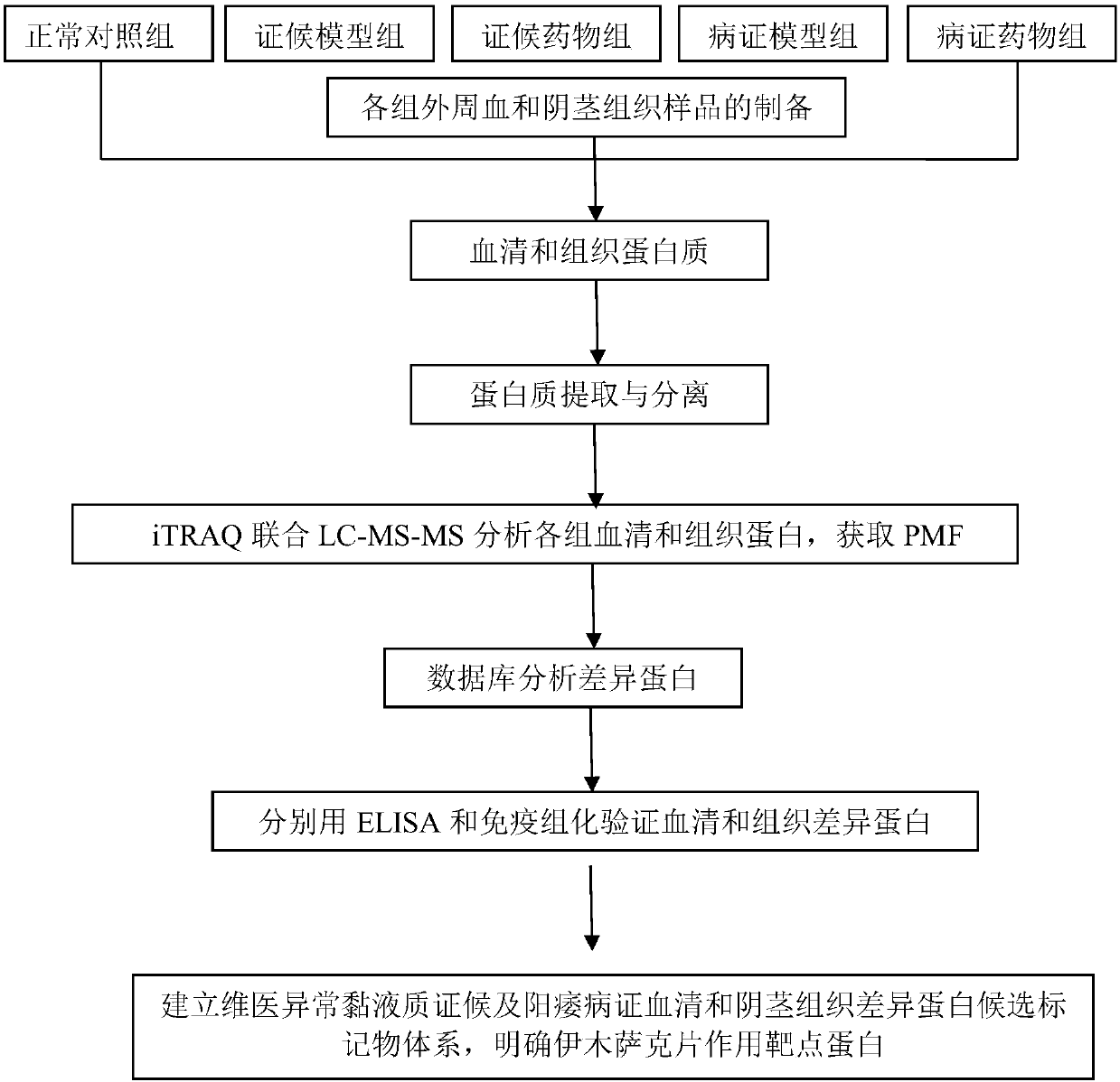 Target protein of Yimusake tablet acting on abnormal balham syndrome and erectile dysfunction syndrome models and screening method thereof