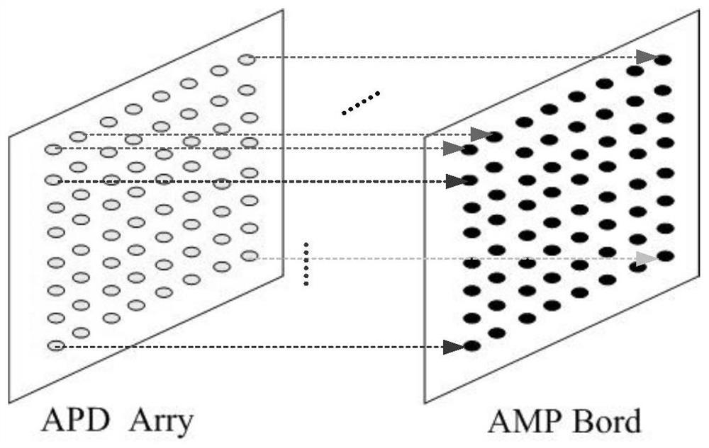 An Array Amplifier Based on Frequency Detection