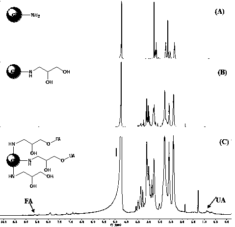 Folic acid-polyamide polyamidoamine (PAMAM)-ursolic acid nano drug with tumor targeting and preparation method of drug