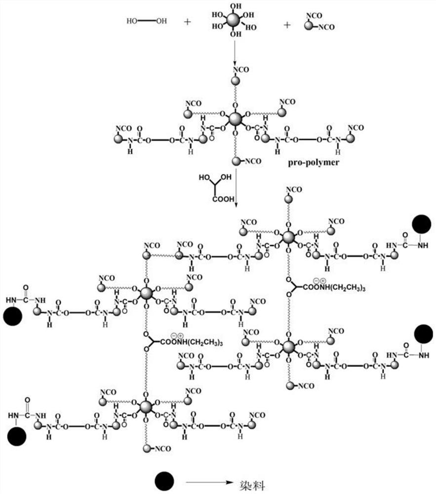 A kind of dendritic water-based polyurethane-based polymer dye and preparation method thereof