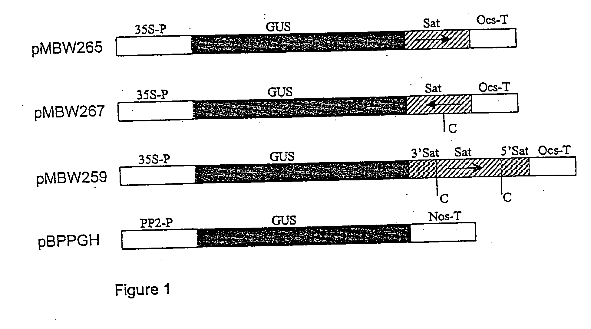 Methods and means for obtaining modified phenotypes