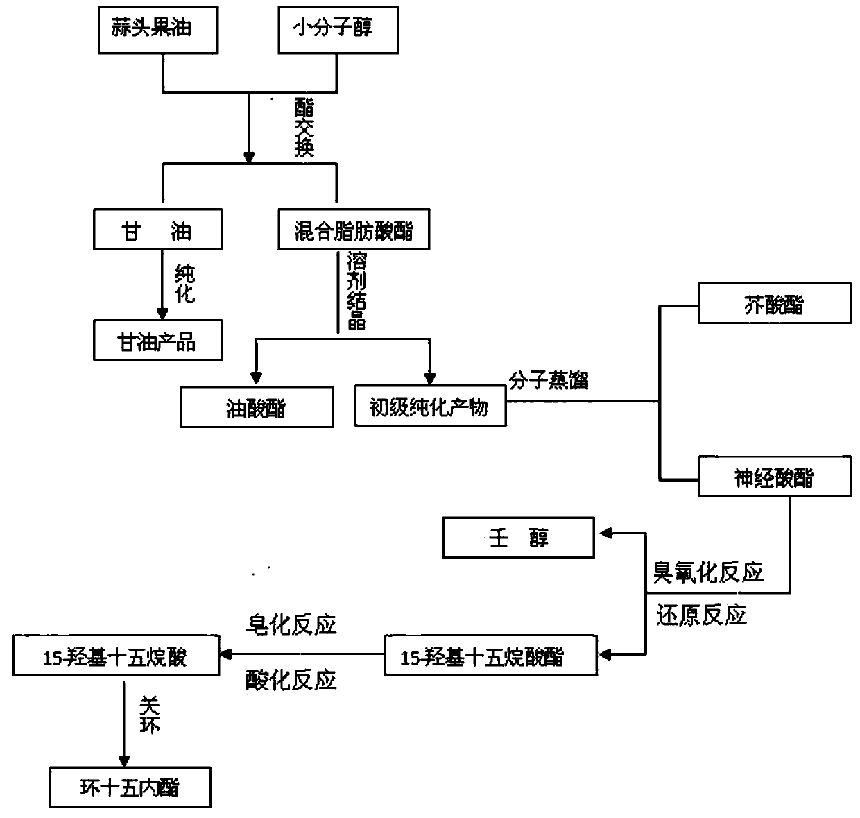 Method for preparing macrocyclic musk-cyclopentadecalactone by using garlic fruit oil