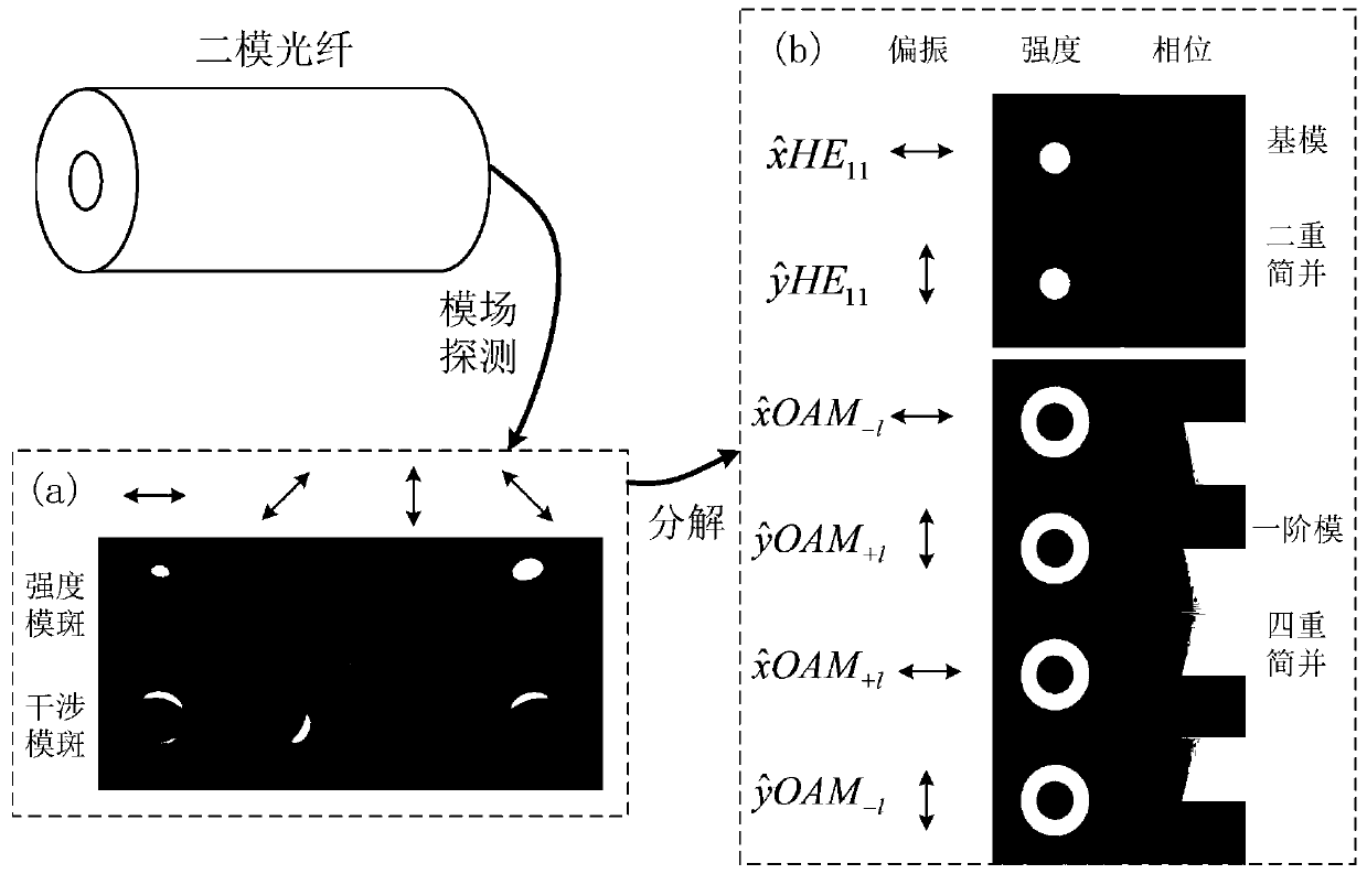 Few-mode optical fiber space mode field detection method based on interference theory