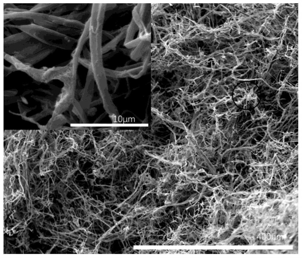 Polyaniline/thermoplastic polymer conductive nanofiber airgel and preparation method thereof