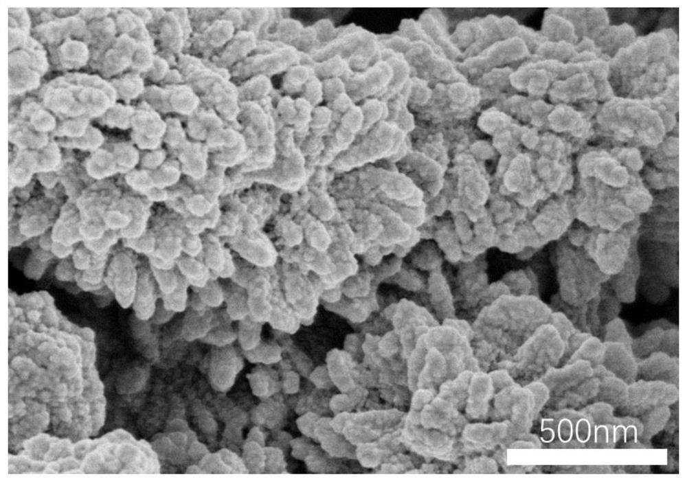 Polyaniline/thermoplastic polymer conductive nanofiber airgel and preparation method thereof