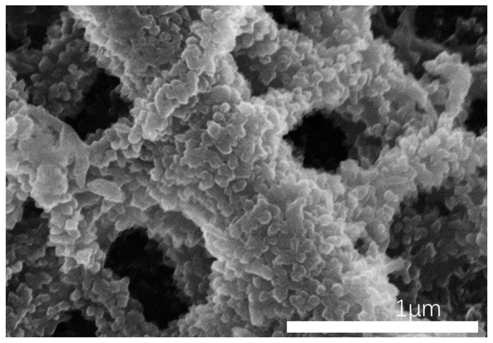 Polyaniline/thermoplastic polymer conductive nanofiber airgel and preparation method thereof