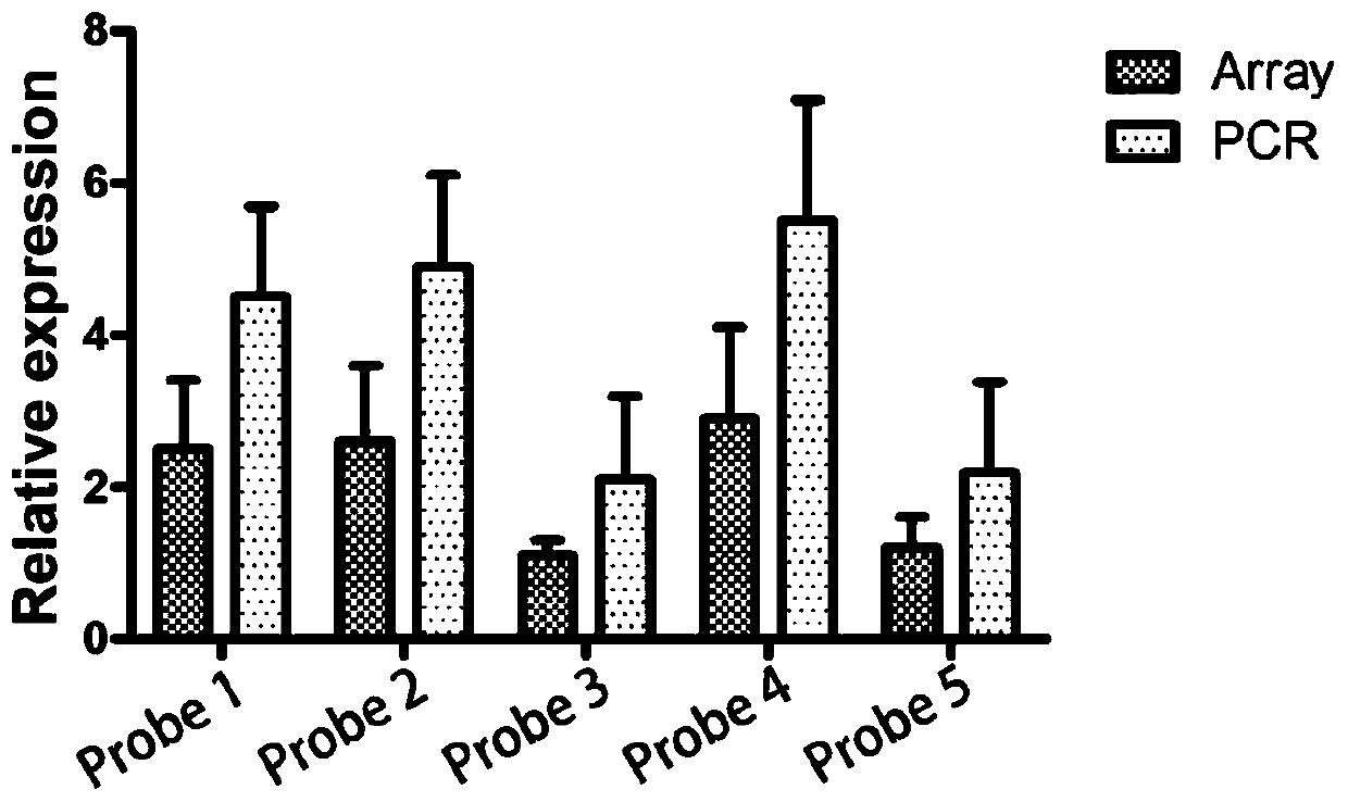 Application of long non-coding lncRNA-od1 in osteoporosis disease