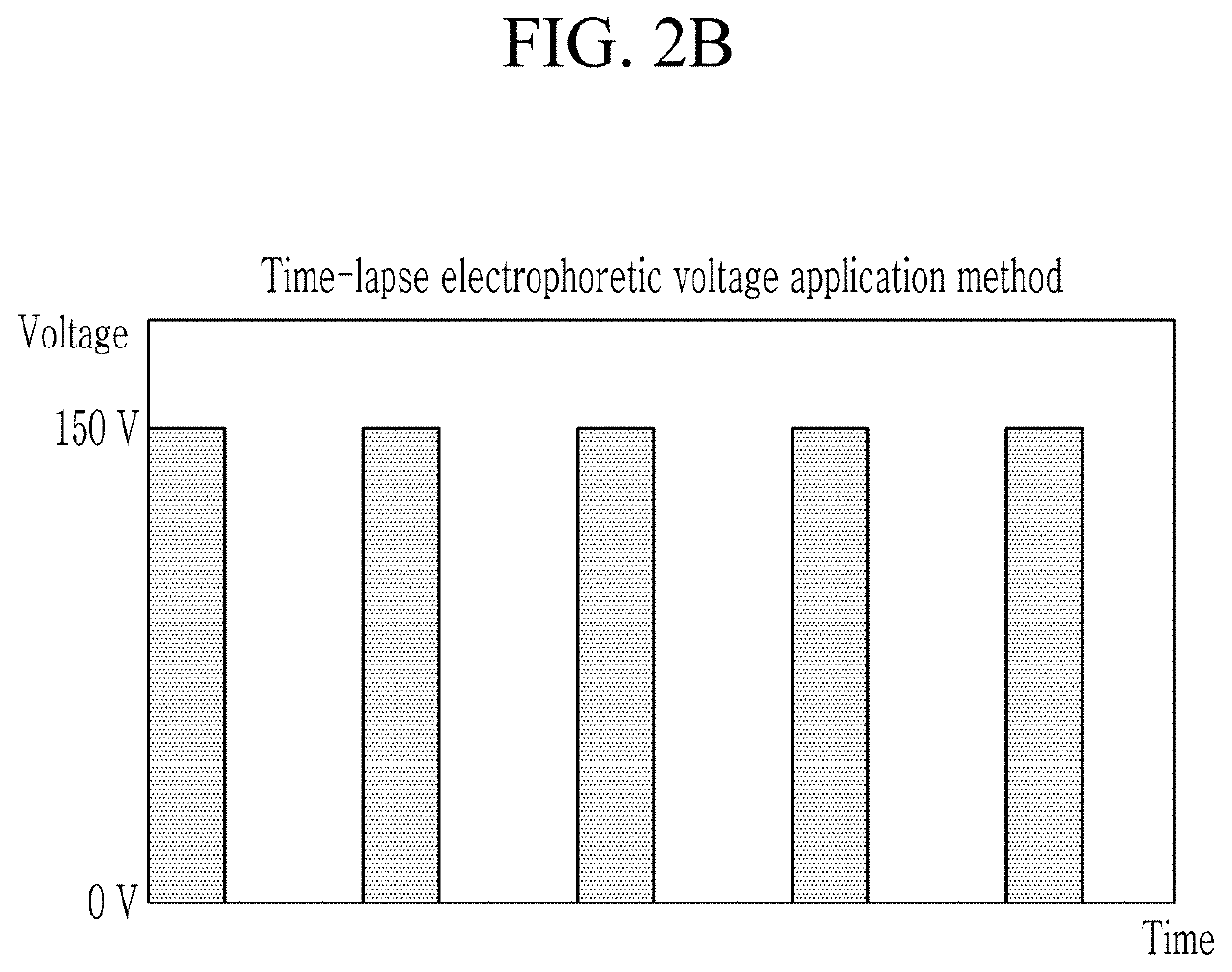 Electrophoretic biological sample staining method and staining apparatus using