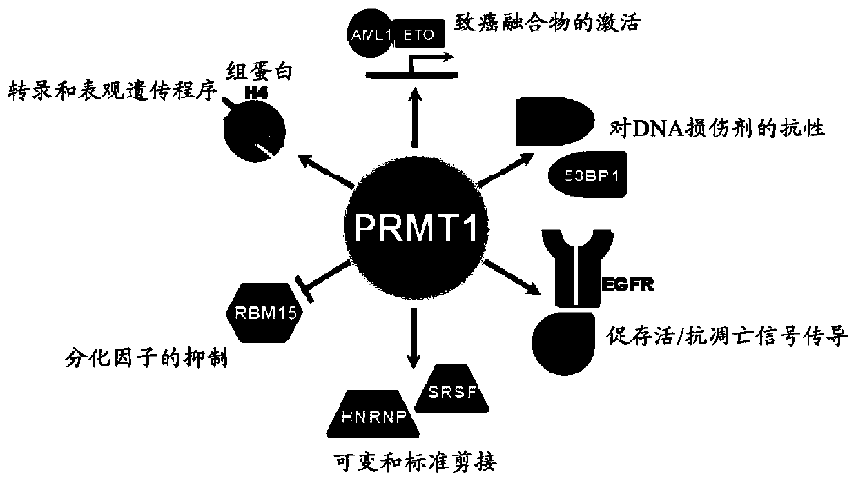 Methods of treating cancer