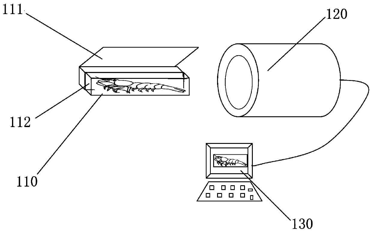 Non-contact prawn physical sign automatic measuring device based on 3D scanner technology