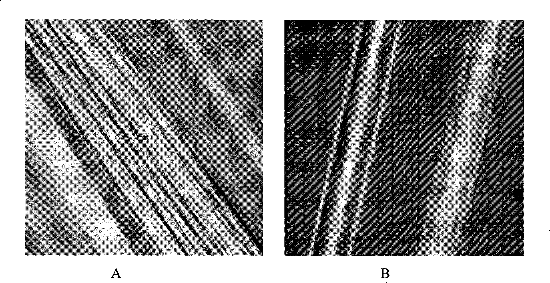 Synthetic fiber for multifunctional mortar concrete and method for preparing the same