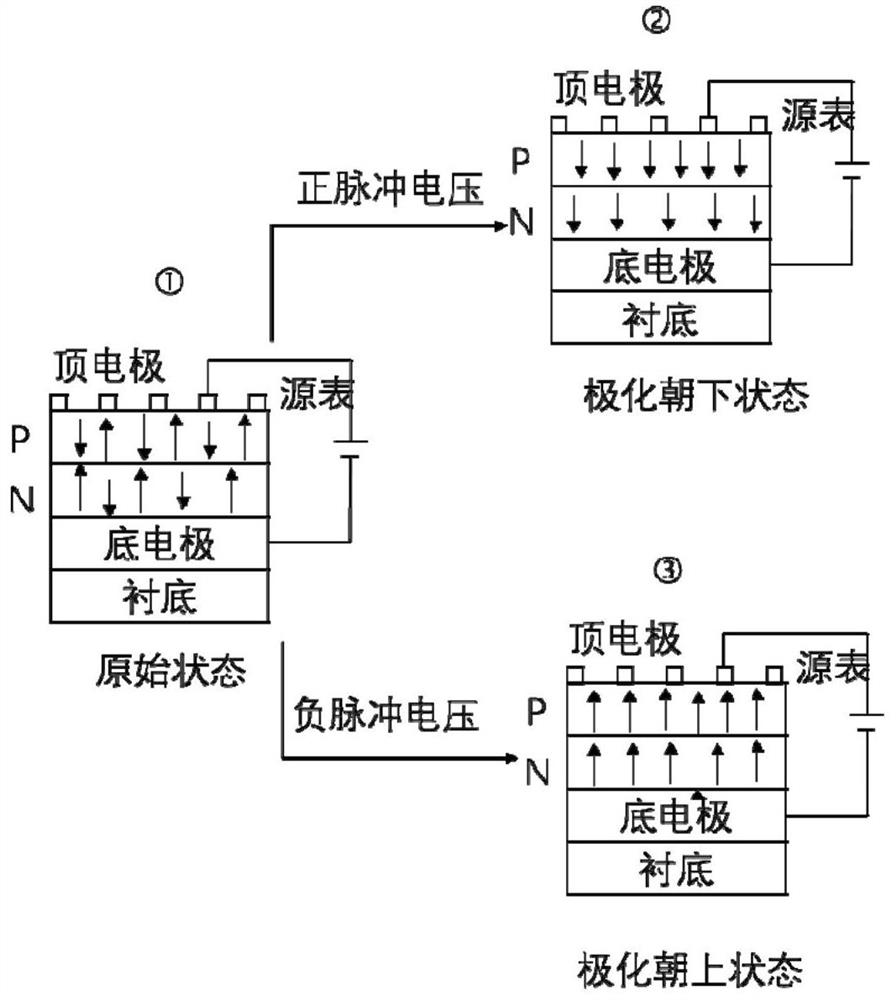 All-ferroelectric semiconductor PN junction thin film device and preparation method thereof