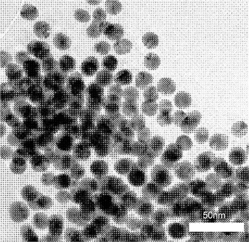 Method for detecting mercury ion concentration of water sample