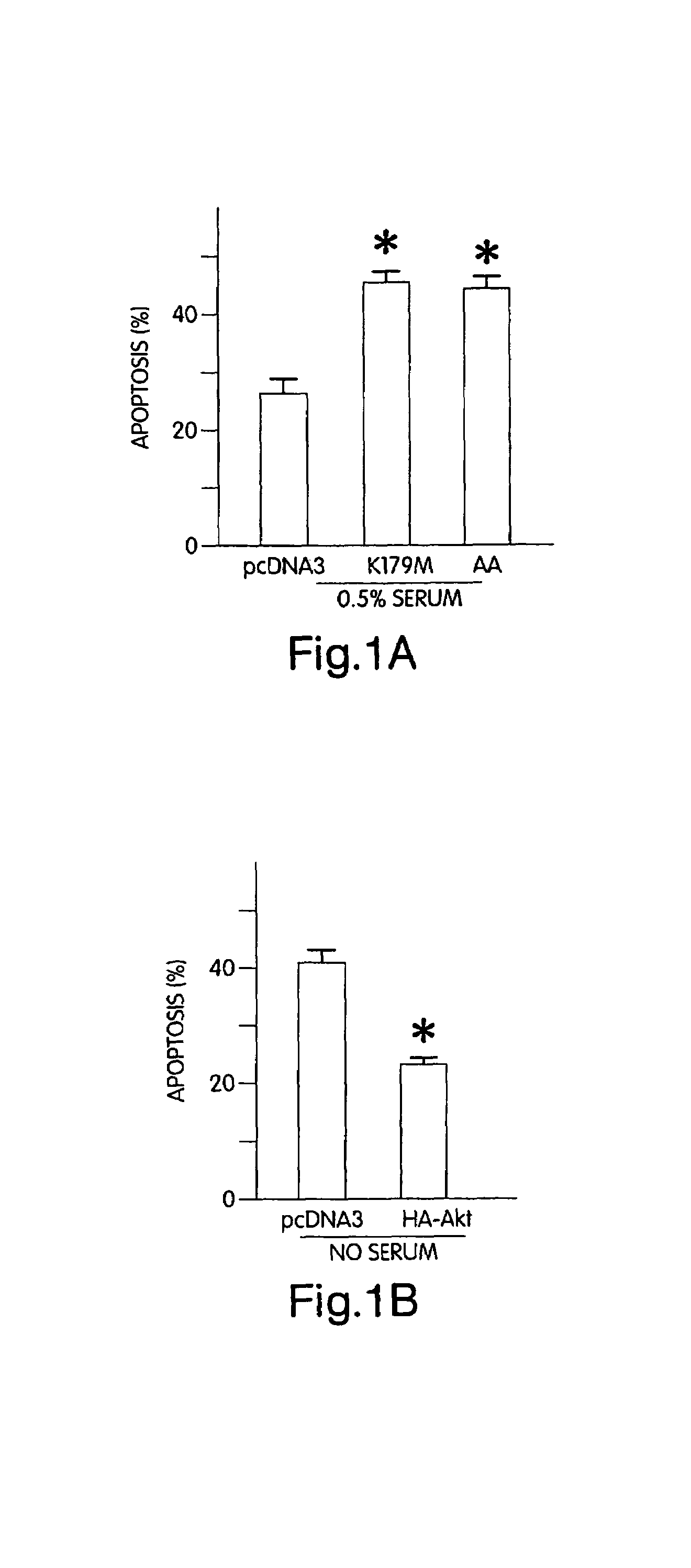 Akt compositions for enhancing survival of cells