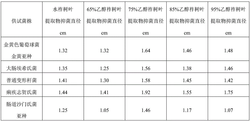 Oak leaf extract, as well as preparation method and application thereof