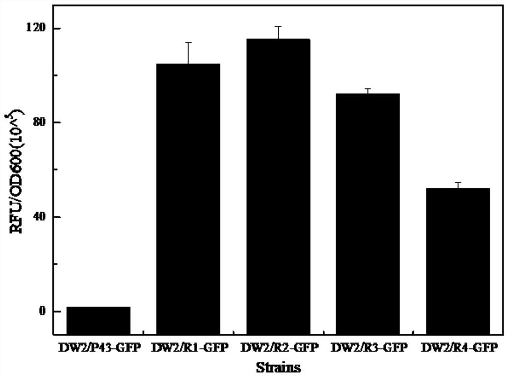 Promoter suitable for bacillus licheniformis and application of promoter in high-efficiency expression of target product