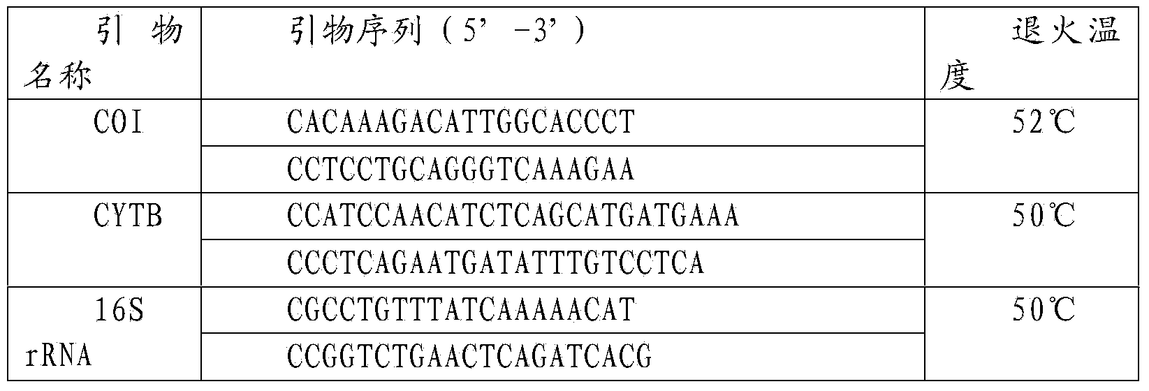 Method of extracting high-quality DNA (Deoxyribonucleic Acid) of fin product