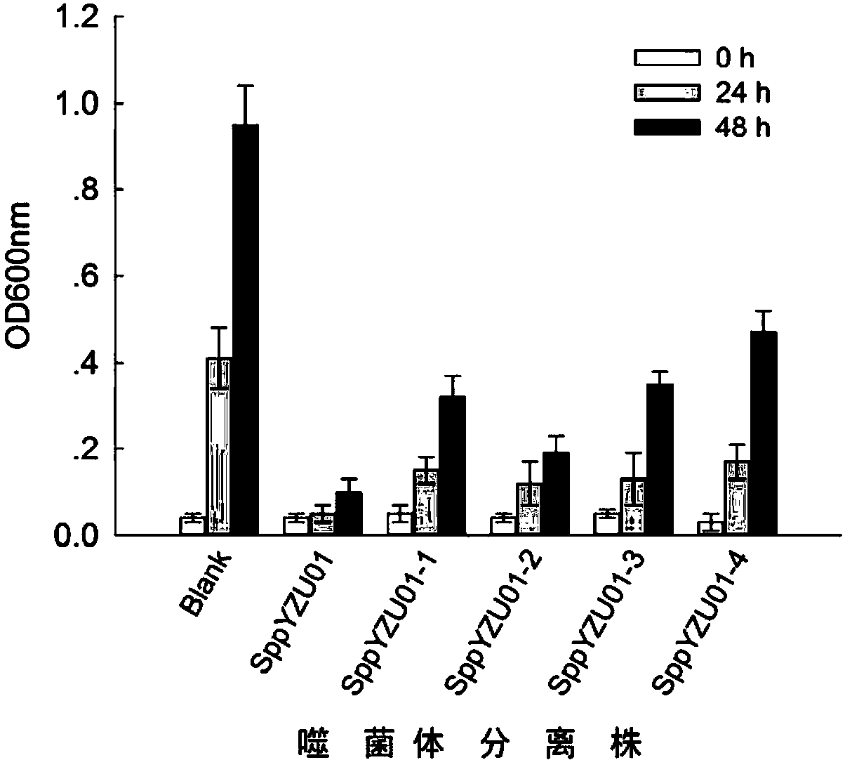 Baltic shewanella oneidensis bacteriophage SppYZU01 and application thereof