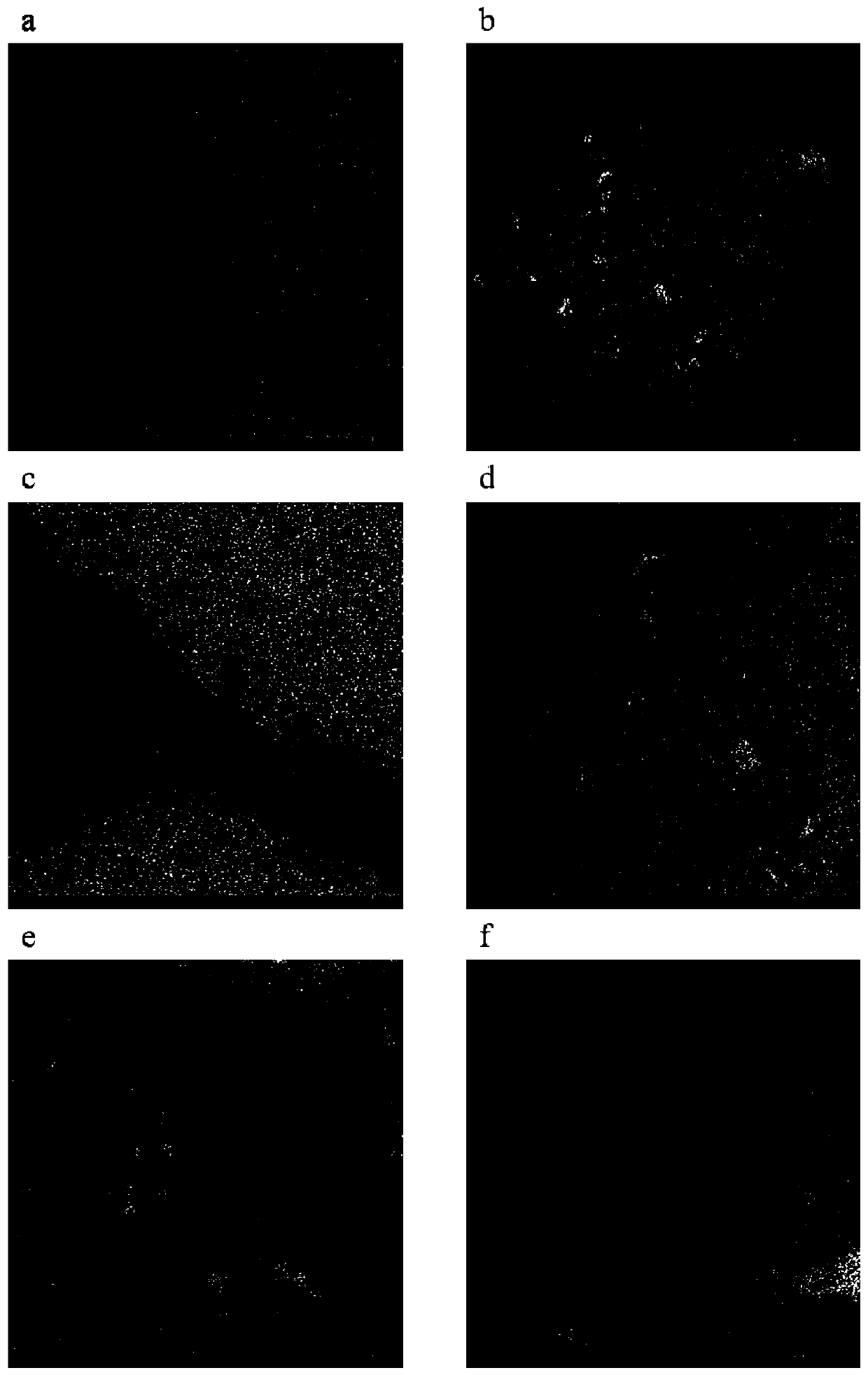 Green and efficient preparation method for aqueous phase iron oxide nanoparticles