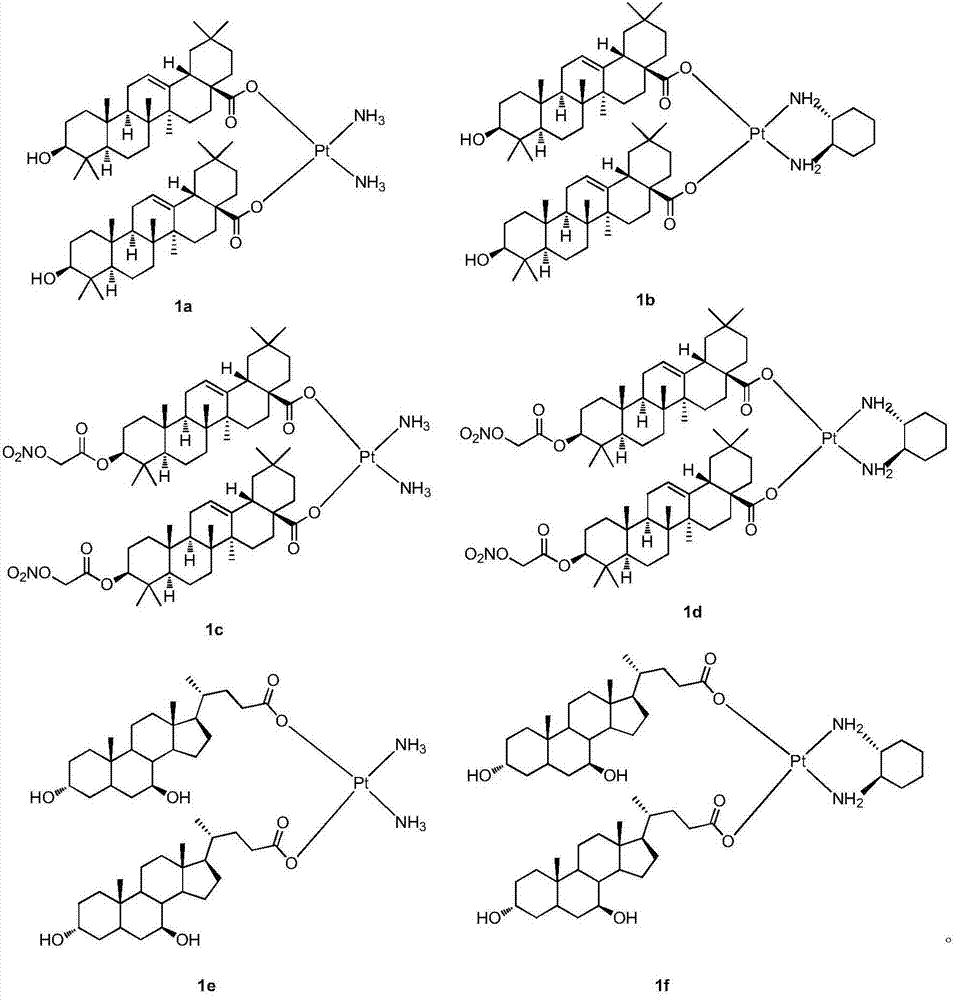 A class of platinum (ii) complexes and their preparation and use