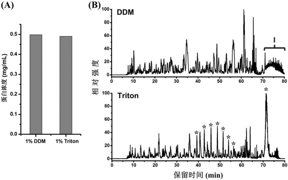 Protein pretreatment and polypeptide high-pH reverse-phase gradation-integrated proteome reactor and application thereof