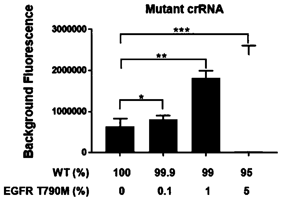 Kit and detection method for detecting EGFR gene T790M mutation