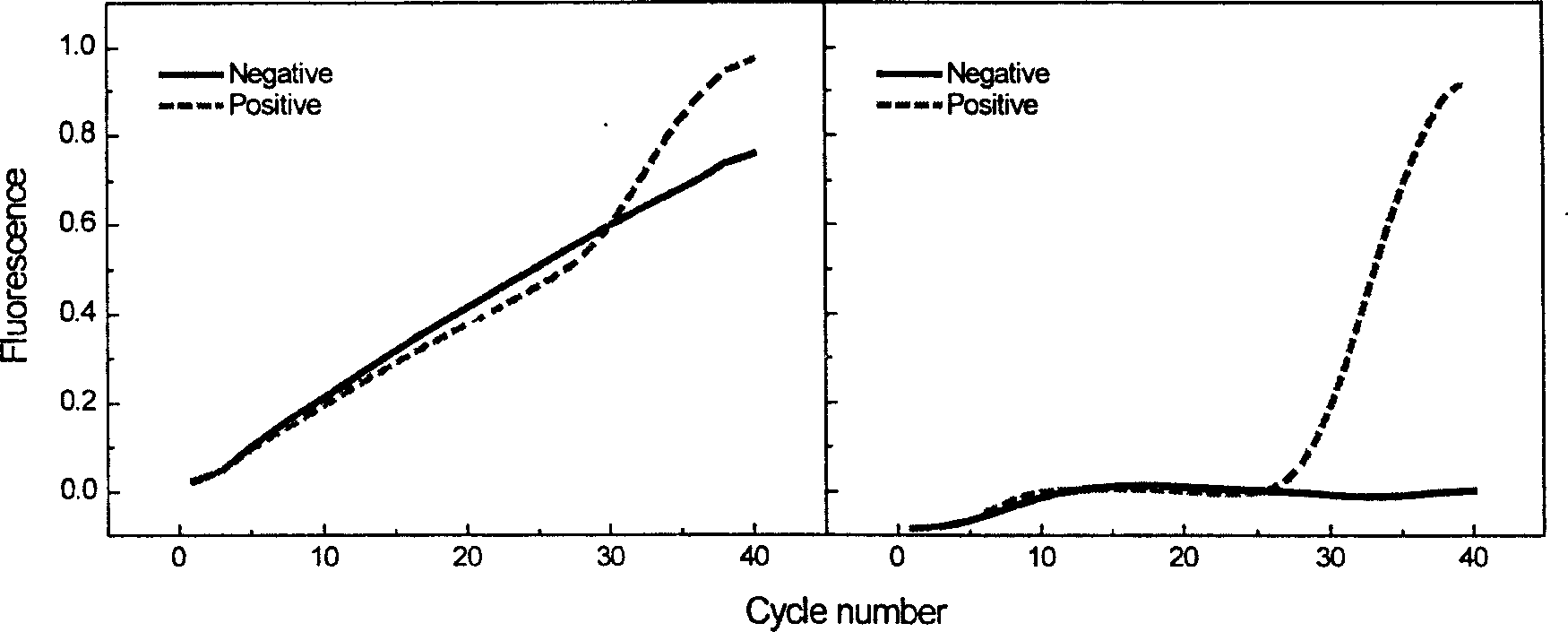 Fluorescence probe for hgih temperature polyase exonuclease activity in real time PCR test