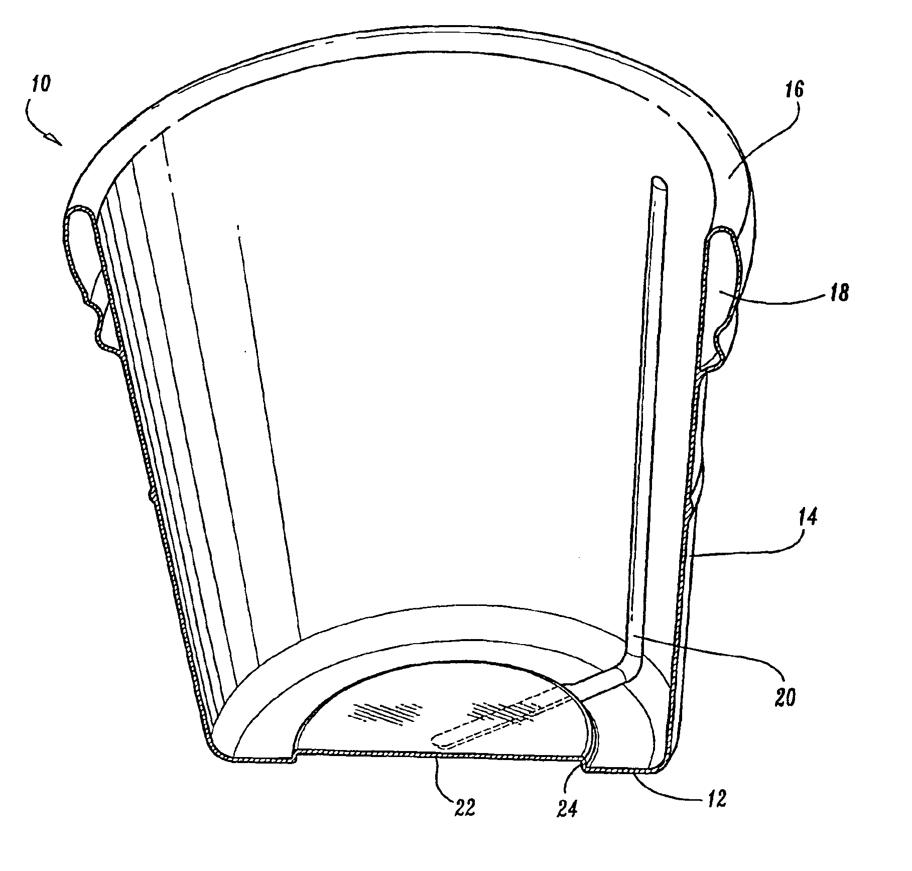 Molded article having hollow rim portion and process for producing articles