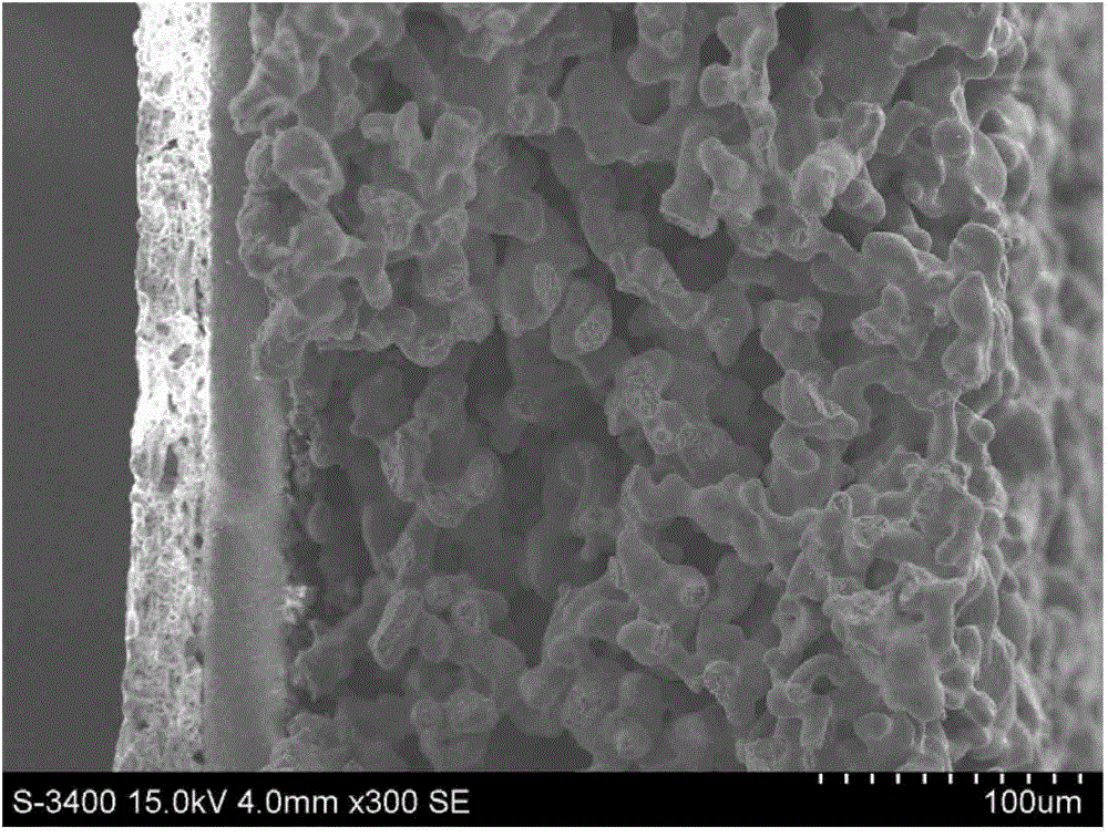 Structure of flat-plate type metal-support solid oxide fuel cell for immersing electrodes