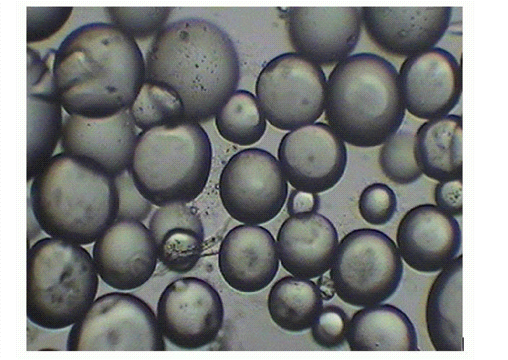 Electrophoretic microcapsules formed by complex coacervation of carboxyl butyronitrile/gelatin and Arabic gum and preparation method thereof