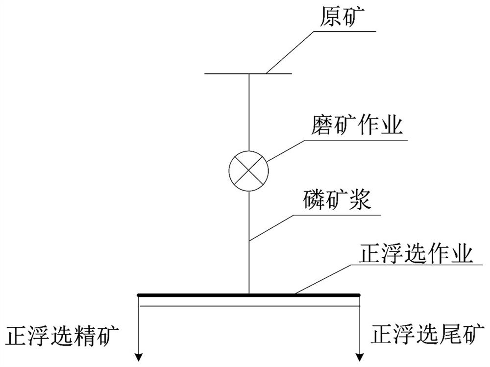 Additional screening-gravity separation process before phosphate rock positive flotation operation