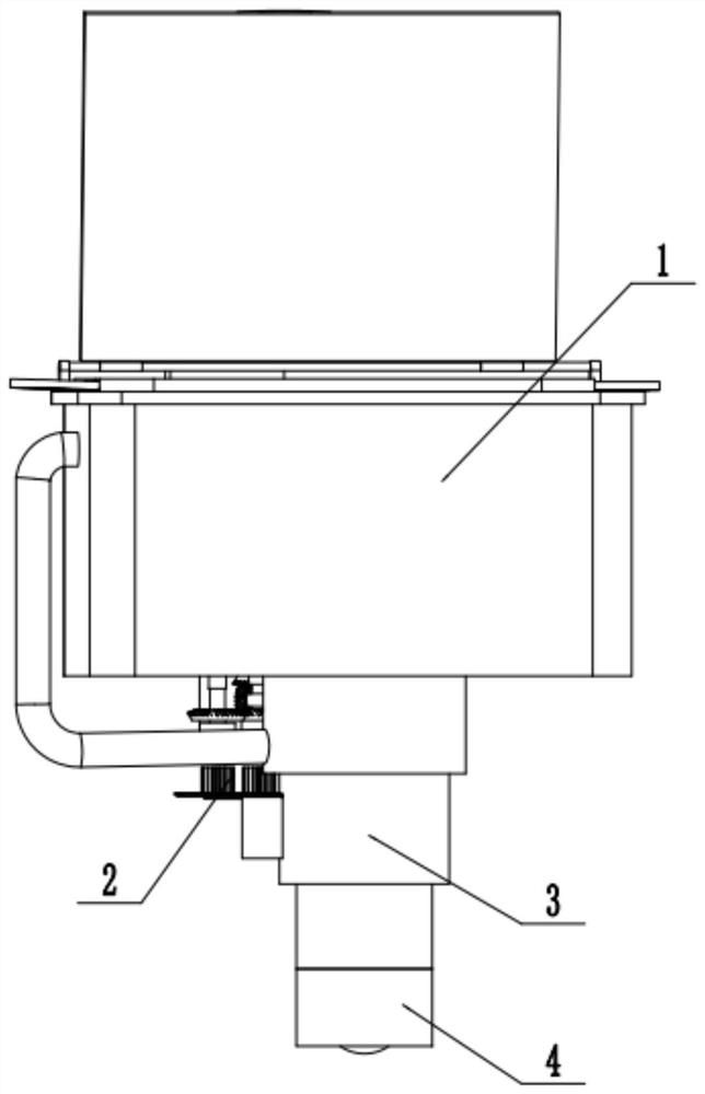 Automatic vegetable cleaning device