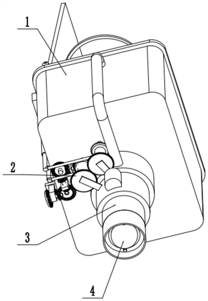 Automatic vegetable cleaning device