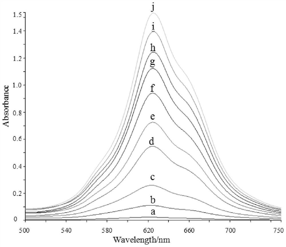 Method for measuring molybdate radical by using tetrasulfo nickel phthalocyanine-lead (II) optical probe
