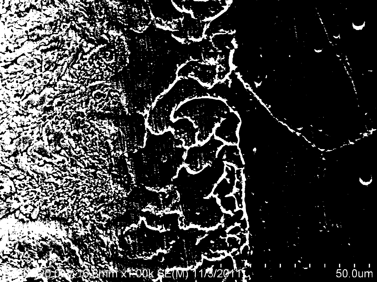 Preparation process of nickel-coated silicon carbide powder for surface enhancement of impression of hot forging mold